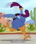 3_toes anthro ass_clapping avian bedroom_eyes big_butt bird breasts butt cactus crossgender cuculiform desert feet female hi_res looney_tunes mtf_crossgender narrowed_eyes new_world_ground_cuckoo onomatopoeia plant road_runner_(looney_tunes) roadrunner running seductive side_boob solo sound_effects sssonic2 talons text toes warner_brothers