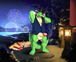 anthro balls blush bottomless clothed clothing dragon erection fireworks genitals hi_res humanoid_genitalia humanoid_penis male morenatsu mythological_creature mythological_scalie mythology outside penis scalie seyrmo tatsuki_(morenatsu)