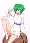  1girl barefoot bucket full_body gradient_bag green_eyes green_hair hair_bobbles hair_ornament japanese_clothes kakone kimono kisume looking_at_viewer open_mouth short_hair sitting solo touhou two_side_up white_background white_kimono 