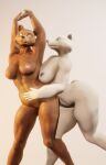 absurd_res anthro bear belly big_breasts breasts brown_bear brown_body brown_fur duo female female/female fur genitals grizzly_bear hi_res mammal nipples nude polar_bear pose pussy simple_background smokedsoul35 standing thick_thighs ursine white_body white_fur wide_hips