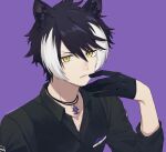  1boy animal_ears black_gloves black_hair black_shirt glove_in_mouth gloves hair_between_eyes highres holostars jackal_boy jackal_ears jewelry kageyama_shien kageyama_shien_(1st_costume) looking_at_viewer male_focus mouth_hold multicolored_hair necklace purple_background rozu_ki shirt short_hair slit_pupils solo streaked_hair two-tone_hair virtual_youtuber white_hair yellow_eyes 