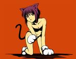  all_fours animal_ears bikini cat_ears cat_paws cat_tail nagato_yuki non-web_source orange_eyes paw_pose paws red_hair short_hair solo suzumiya_haruhi_no_yuuutsu swimsuit tail wallpaper 