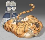 ankles_tied anthro arms_tied barazoku bdsm bondage bound clothing cuff_(restraint) dirty_socks feet felid foot_fetish footwear hi_res kurotetsu1379 male mammal muscular muscular_male pantherine restraints solo tiger