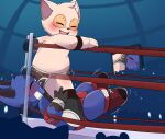  absurd_res anthro felid feline fighting_ring hi_res league_of_legends looking_back male male/male mammal riot_games rurii teemo_(lol) tencent yordle 