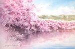  blue_sky cherry_blossoms cloud cloudy_sky day highres no_humans original pond reflection reflective_water scenery shimizu_megumi_(m_acquerello) sky tree water 