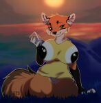 absurd_res anthro big_breasts breasts canid canine clothed clothing container cup detailed_background digital_media_(artwork) female fox fur grass hi_res lake looking_at_viewer mammal novodemon orange_body orange_fur outside plant sea shyryp smile solo sunset tail thick_thighs water white_body white_fur