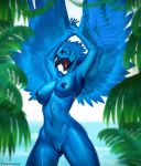  anthro avian beak bird breasts feathered_wings feathers female nipples nude open_mouth outside piratefoxbox pussy solo standing thigh_gap tweetfur wide_hips wings 