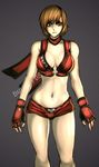  1girl breasts brown_hair buuzen hinomoto_reiko large_breasts midriff rumble_roses solo 