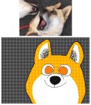  2018 animated canine dog keke licking mammal open_mouth orange_eyes shiba_inu teeth text tongue tongue_out 