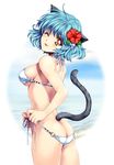  :p animal_ears ass beach bikini blue_hair cat_ears cat_tail flower hair_flower hair_ornament hibiscus highres looking_back one_eye_closed original short_hair side-tie_bikini smile solo swimsuit tail tamiya_akito tongue tongue_out untying yellow_eyes 