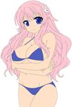  1girl absurdres baka_to_test_to_shoukanjuu bikini blue_eyes breasts busty covered_nipples erect_nipples hair_ornament hairclip highres himeji_mizuki legs long_hair navel photoshop pink_hair smile solo swimsuit thighs vector_trace 