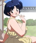  blue_hair blush breasts bush curvy dress dripping large_breasts looking_at_viewer mage_(harumagedon) plump popsicle_stick porch ranma_1/2 sexually_suggestive short_hair sleeveless sleeveless_dress solo tendou_akane wall wind_chime 