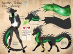  anthro clothing dr4c0n1c_m4sters dragon feral fire horn male model_sheet nightwing wings_of_fire 