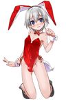  animal_ears bare_legs blue_eyes bow bowtie bulge bunny_boy bunny_ears bunnysuit crossdressing detached_collar nanamatsu_kenji otoko_no_ko short_hair silver_hair totsuka_saika wrist_cuffs yahari_ore_no_seishun_lovecome_wa_machigatteiru. 