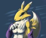  canine digimon drxsmokey female fox mammal nude renamon 