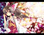  bad_id bad_pixiv_id brown_hair hakurei_reimu long_hair pochi-t solo touhou 