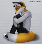  &lt;3 anthro black_nose blonde_hair blue_eyes canine clothed clothing fox fur hair hands jeans lan lonely male mammal orange_fur sitting solo sweater white_fur zeta-haru 