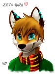  &lt;3 anthro black_nose blue_eyes brown_hair canine clothed clothing fox fur hair lan male mammal mytigertail orange_fur plain_background scarf shirt smile solo white_background white_fur 