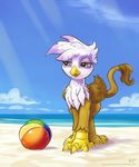  amber_eyes avian ball beach brown_feathers brown_fur cloud clouds female feral friendship_is_magic fur gilda_(mlp) gryphon karol_pawlinski my_little_pony outside sand seaside sky solo standing water white_feathers wings 