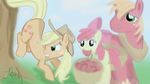  apple_bloom_(mlp) applejack_(mlp) big_macintosh_(mlp) blonde_hair bow cowboy_hat cub cutie_mark equine female feral freckles friendship_is_magic fur green_eyes hair hat horse jbond male mammal my_little_pony orange_fur outside pony red_fur red_hair yellow_fur young 