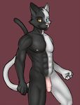  anthro balls biceps black_fur blue_eyes cat darthzion feline fur grey_fur grin heterochromia humanoid_penis male mammal muscles nipples nude orange_eyes pecs penis pink_nose plain_background pose presenting randt red_background smile solo standing vein white_fur 