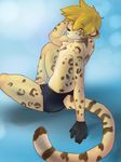  feline hair jaggiekant leopard looking_at_viewer looking_back male mammal plain_background sitting solo spots underwear 