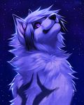  ambiguous_gender canine falvie looking_up mammal night outside sky solo stars wolf 