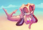  anthro beach big_breasts bikini breasts brown_eyes cleavage clothed clothing cream_the_rabbit female lagomorph long_ears looking_at_viewer mammal nitro outside rabbit rabbit_ears seaside sega skimpy sky smile sonic_(series) swimsuit tight_clothing 