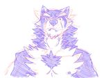  anthro canine chest_tuft disapproval fur looking_at_viewer male mammal nude orion_(aluminemsiren) plain_background sketch solo tuft white_background wolf 