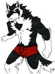  anthro biceps black_fur black_nipples boxers bulge canine chest_tuft fangs fur male mammal muscles nipples orion_(aluminemsiren) pecs plain_background pose red_eyes serious solo standing teeth topless tuft underwear white_background white_fur wolf 