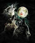  aurora_borealis canine eyes_closed feral fur grey_fur group howl mammal milk moon night open_mouth parody photoshop three_wolf_moon tuscan_farms_milk unknown_artist wolf 