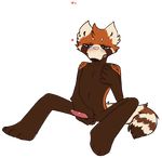  &lt;3 animated blush chalky male mammal masturbation mute-owl red_panda solo 