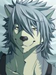  canine dog fur grey_fur grey_hair hair husky ig kouya_aotsuki looking_at_viewer male mammal morenatsu portrait pose restricted_palette solo yellow_eyes 