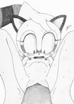  breasts cub excito female first_person_view male mammal marine_the_raccoon nipples open_mouth penetration penis pussy raccoon sega sonic_(series) straight vaginal vaginal_penetration young 