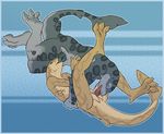  aledonrex anthro collaboration digitigrade duo erection fellatio fish furry-specific_piercing gay hemipenes hologram_(artist) male marine multi_cock nude oral oral_sex penis piercing sex shark underwater water 