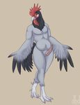  anthro avian beak chubby claws dbd erection looking_at_viewer male nude penis plain_background presenting rooster solo standing wings 