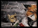  canine cat feline fox leopreston male mammal snow 