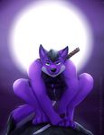  anthro biceps blade bulge canine clothing crouching dark full fur green_eyes hair indigo_fur looking_at_viewer male mammal moon moonlight necklace night night_sky ninja outside purple_fur rock solo solwolf warrior wolf zeta-haru 