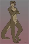  balls grin male mammal mustelid nude otter sheath solo tikky 