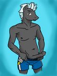  anthro anthrofied blue_hair clothing colored cyan_background equine erection grey_penis grey_skin hair horse irateliterate male mammal mane mohawk multi-colored_hair muscles overweight penis presenting shorts solo thunderlane_(mlp) underwear yellow_eyes 