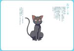  bishoujo_senshi_sailor_moon black_cat blue_border border cat cat_focus crescent luna_(sailor_moon) makacoon no_humans red_eyes rounded_corners simple_background translation_request white_background 