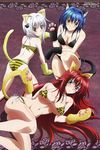  absurdres animal_ears animal_print ass bikini blue_eyes blue_hair blush body_blush breasts cat_ears cat_hair_ornament cat_paws cat_tail cleavage gloves hair_ornament high_school_dxd high_school_dxd_new highres leopard_print looking_back lying medium_breasts megami multicolored_hair multiple_girls non-web_source official_art on_side paw_gloves paws print_bikini red_eyes red_hair rias_gremory side-tie_bikini silver_hair striped striped_bikini striped_swimsuit swimsuit tail teshima_noriko toujou_koneko xenovia_quarta 