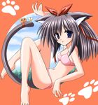  :p animal_ears barefoot bell bikini blue_eyes cat_ears cat_tail copyright_request feet hair_ribbon navel paw_print ribbon solo swimsuit tail tail_bell tongue tongue_out waiai 