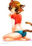  animal_ears brown_hair cat_ears nanjou_kisara nozomi_(artist) panties shijou_saikyou_no_deshi_ken'ichi short_hair solo tail underwear 