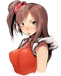  alternate_hairstyle bad_id bad_pixiv_id blush breasts brown_hair chinese_clothes fur_trim heisa large_breasts ling_xiaoyu lips long_hair side_ponytail solo tekken upper_body 