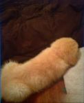  beige_fur canine covers dog feral fur humor inside lying mammal nude on_stomach pillow real room suggestive tan_fur unknown_artist young 