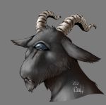  1_eye 2017 caprine goat horn mammal signature simple_background viddharta-joshua 