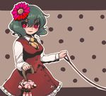  flower green_hair hair_flower hair_ornament kazami_yuuka leash red_eyes short_hair solo touhou umbrella urita_(vivivinicol) 