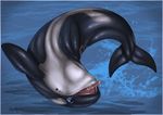  blue_eyes cetacean drooling feral in_water jumping mammal marine orca redraptor16 saliva solo tongue tongue_out whale 