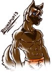  abs anthro biceps black_fur black_hair black_nose blue_eyes brown_fur brown_hair canine clothed clothing dog fur grin hair half-dressed male mammal muscles neodokuro open_mouth pecs pose shorts smile solo standing tongue topless 